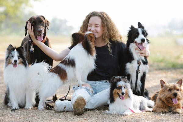 Dog Training