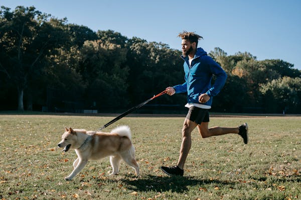 Dog Training